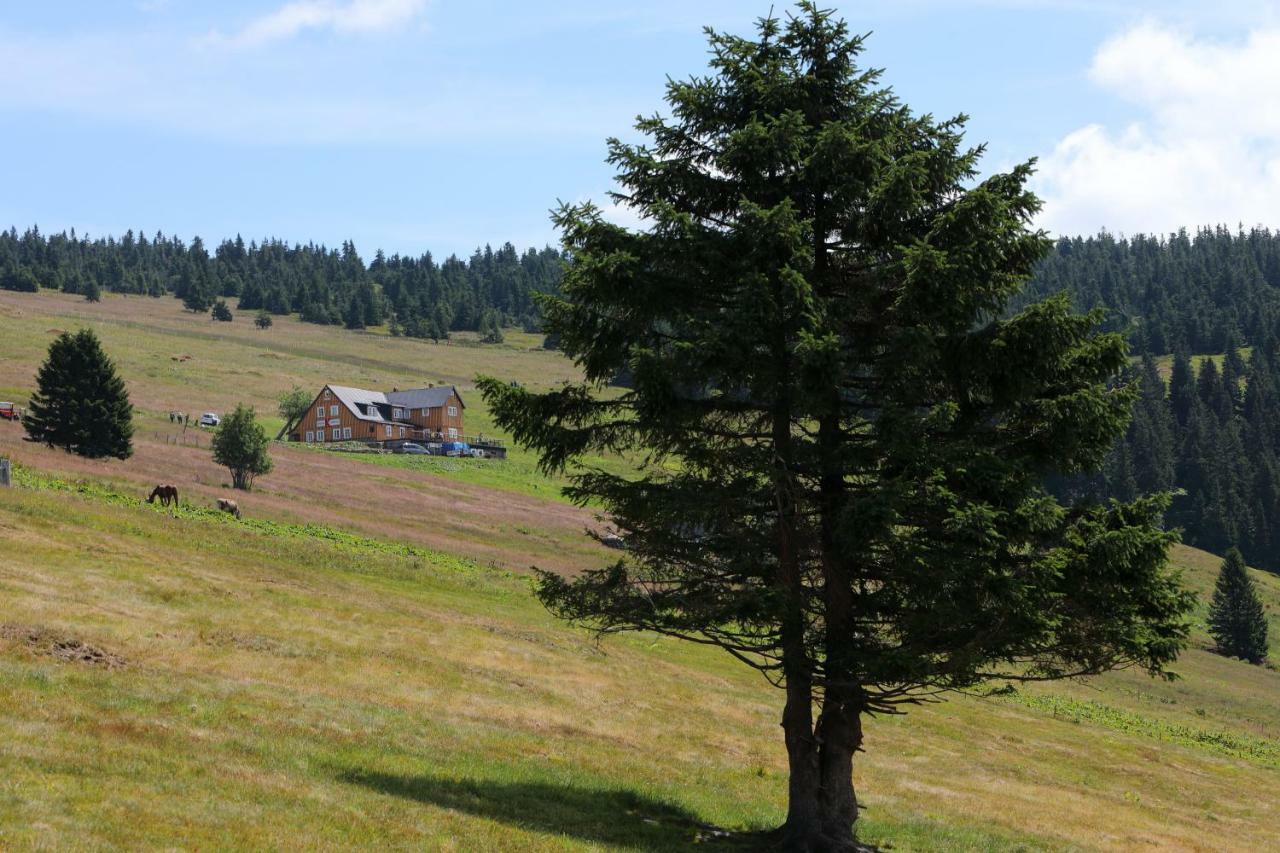 Bouda Klinovka Hotel Špindlerŭv Mlýn Buitenkant foto