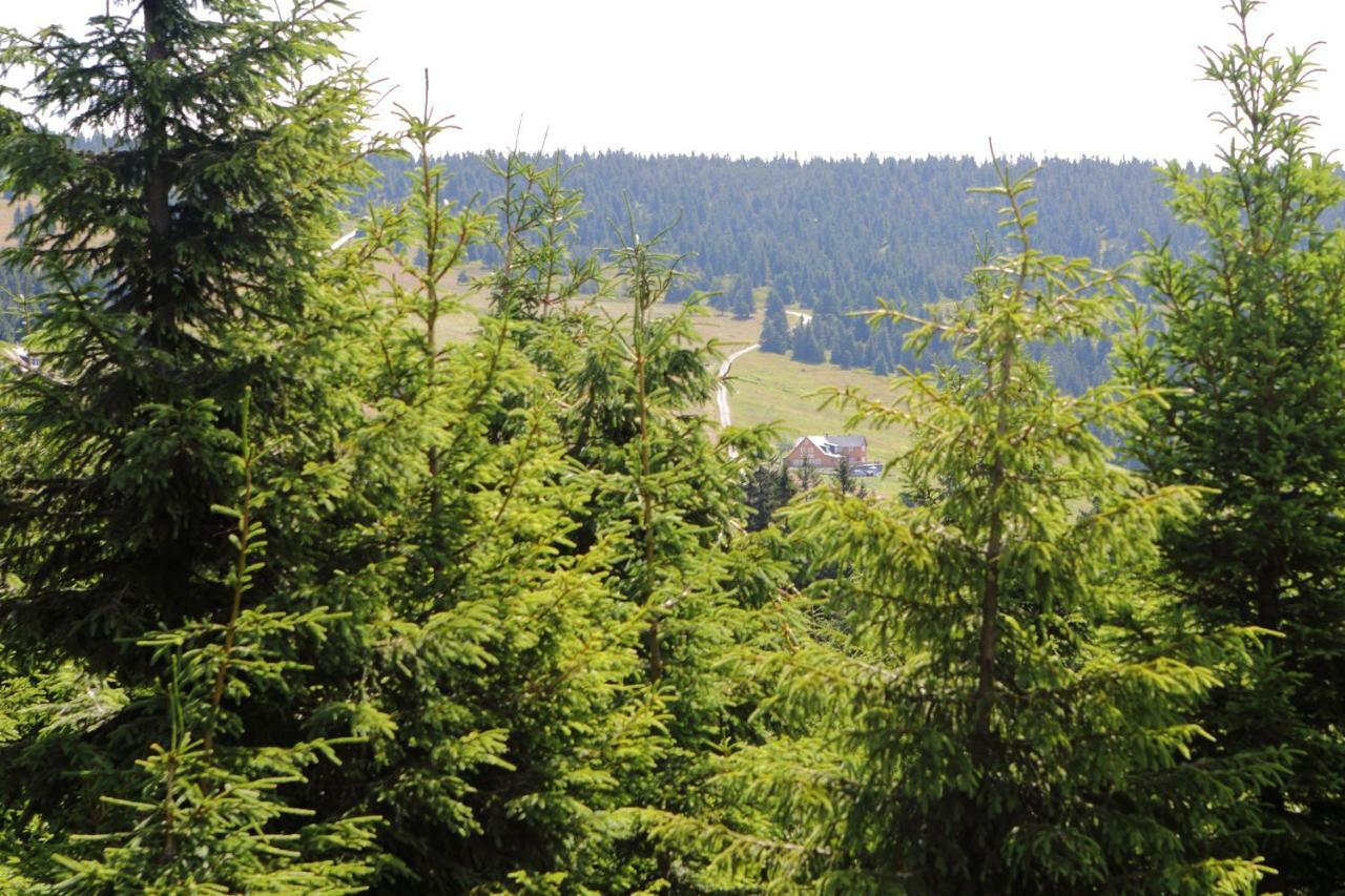 Bouda Klinovka Hotel Špindlerŭv Mlýn Buitenkant foto